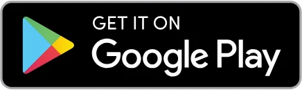 About google playstore logo